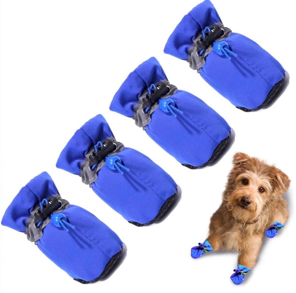 Blue dog boots with drawstring closure