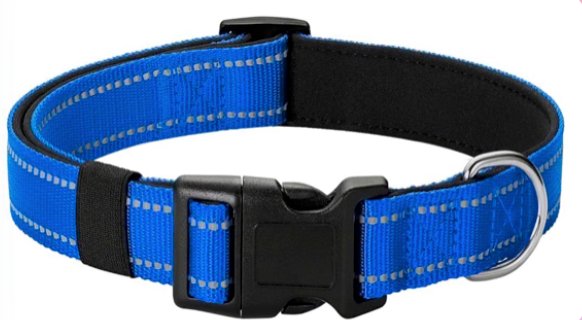Blue dog collar with reflective stitching and padded interior