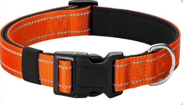 Orange dog collar with reflective stitching and padded interior
