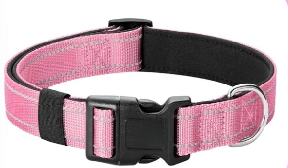 Pink dog collar with reflective stitching and padded interior