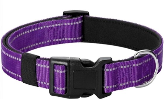 Purple dog collar with reflective stitching and padded interior