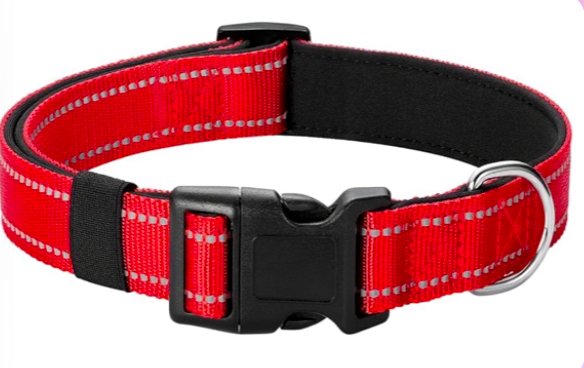 Red dog collar with reflective stitching and padded interior