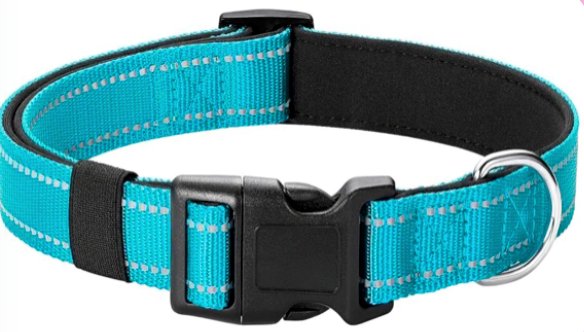 Teal dog collar with reflective stitching and padded interior