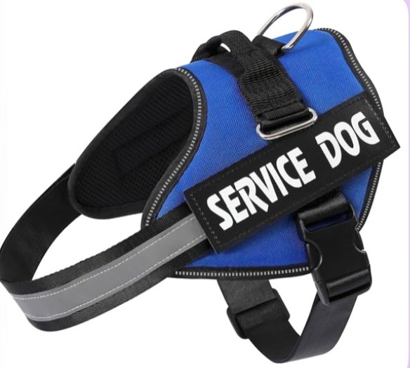 Blue dog harness with reflective strips and top handle