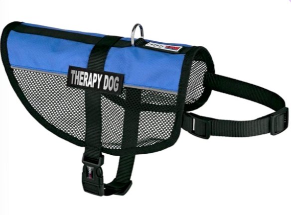 Blue mesh therapy dog harness, breathable and lightweight