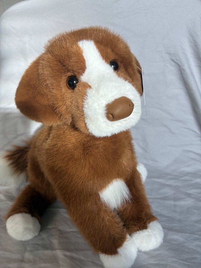 Nova the Duck Tolling Retriever plush — reddish-brown and white