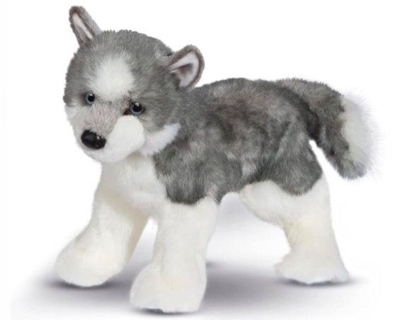 Sasha the Douglas Husky plush
